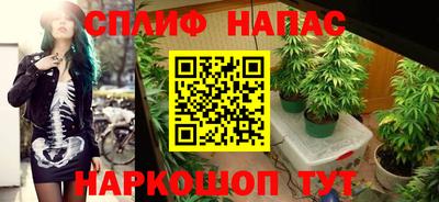 spice Балашиха