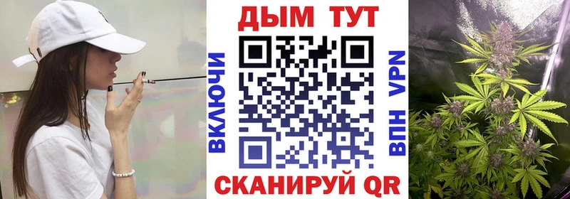 Бошки Шишки THC 21% Борзя